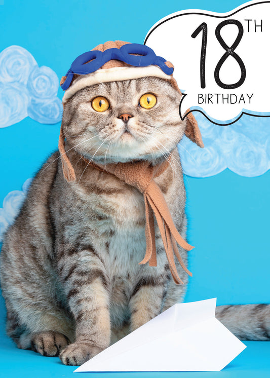 363-MLST0018B | ABD18/Airplane Cat With 18