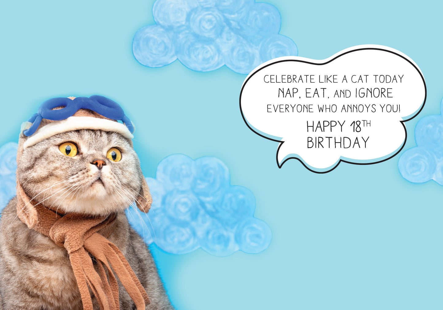 363-MLST0018B | ABD18/Airplane Cat With 18