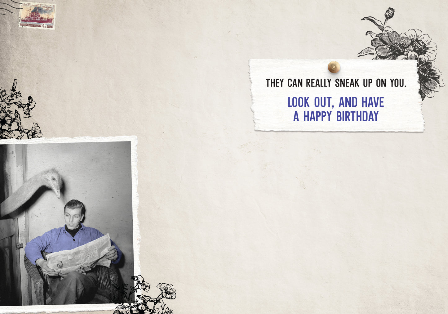 7865-TROU0201 | BD/Like Ostriches