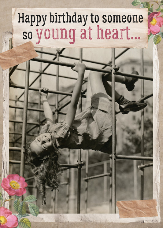 7865-TROU0204 | BD/Young At Heart