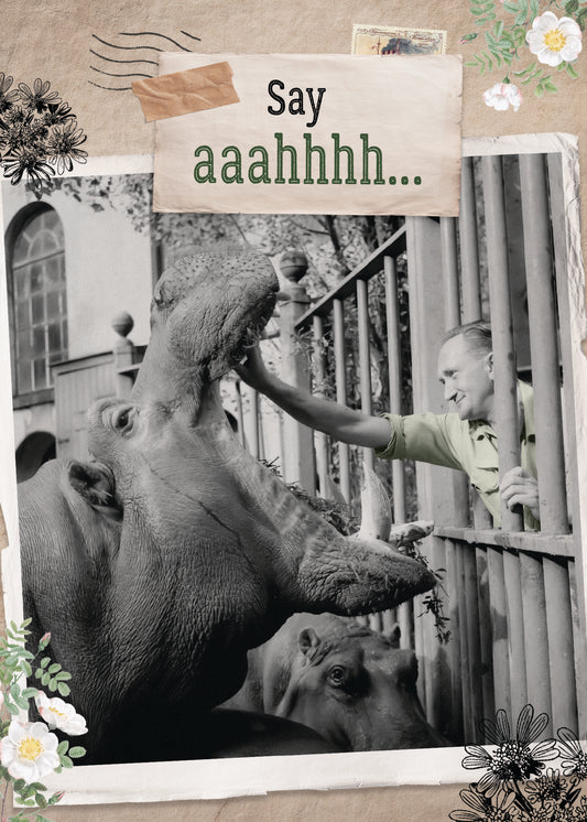 7865-TROU0211 | GW/Hippo