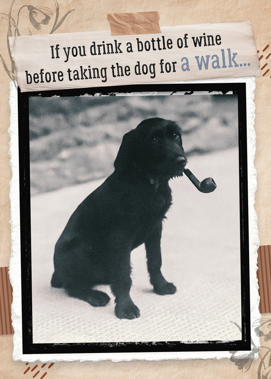 7865-TROU0236 | ED/Detective Dog