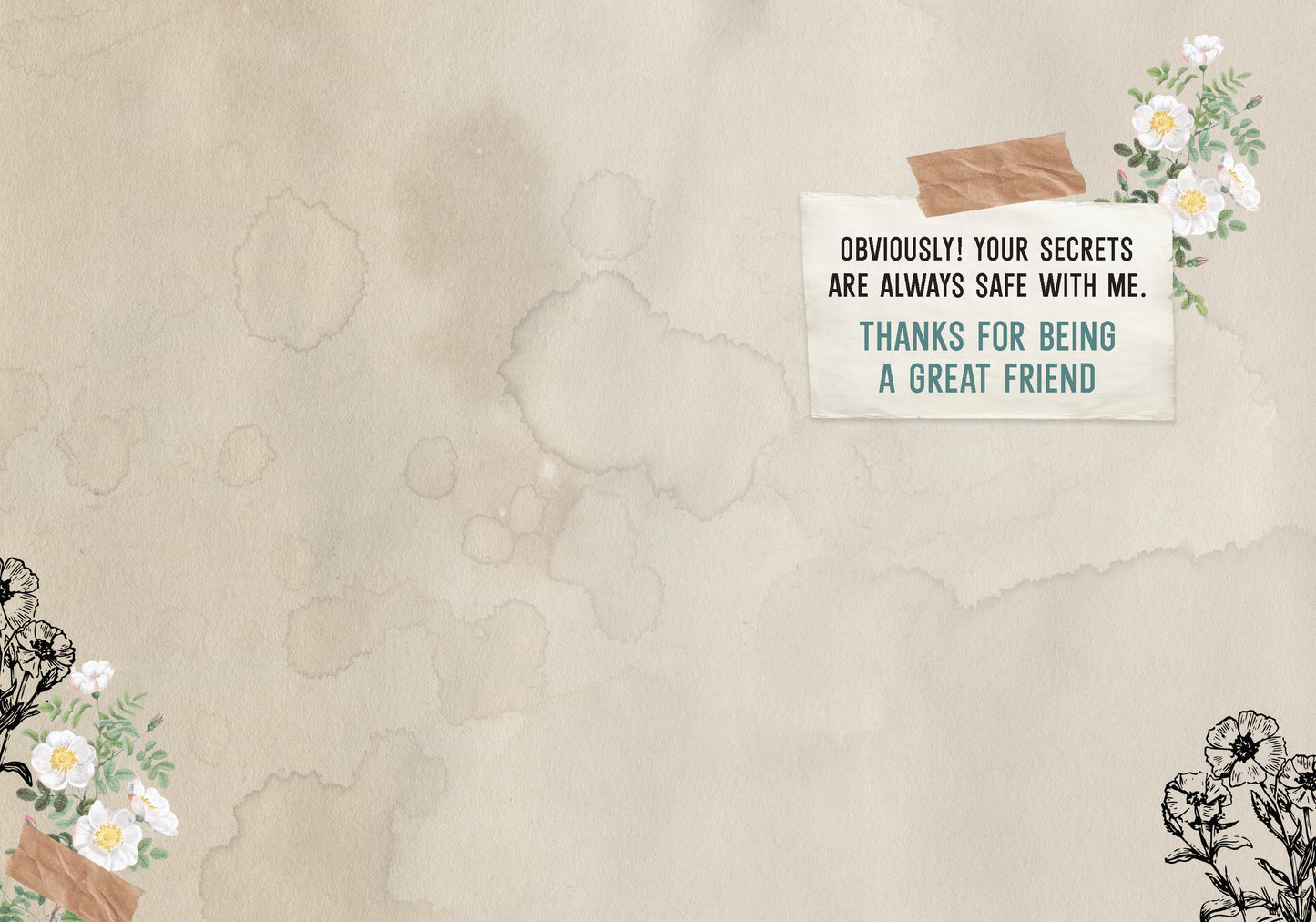 7865-TROU0237 | FR/Under the Rug