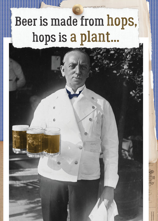 7865-TROU0279 | BD/Beer is Salad