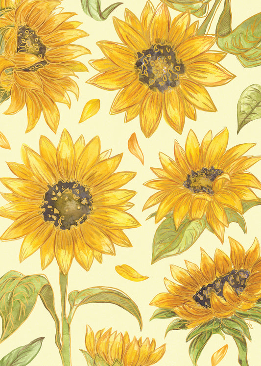 564-FOIOPE1353M | BL/Sketch Sunflowers