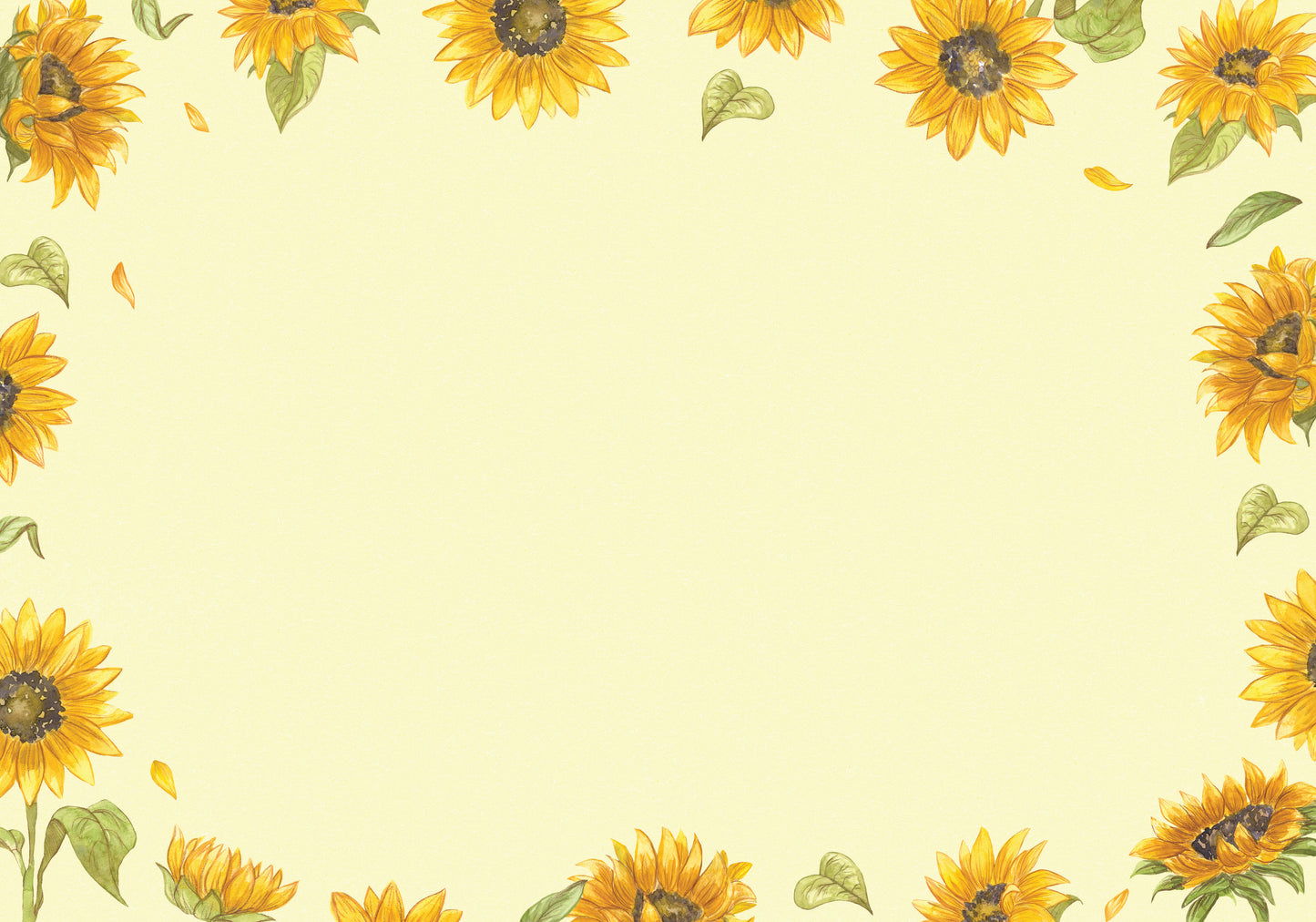 564-FOIOPE1353M | BL/Sketch Sunflowers