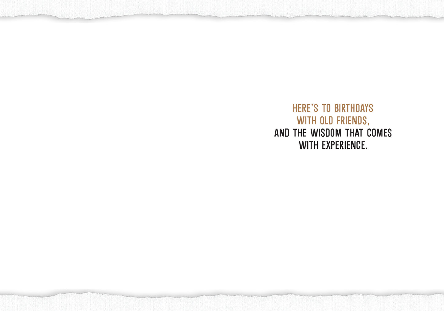 7865-TROU0008 | BD/Optimism Of Our Youth