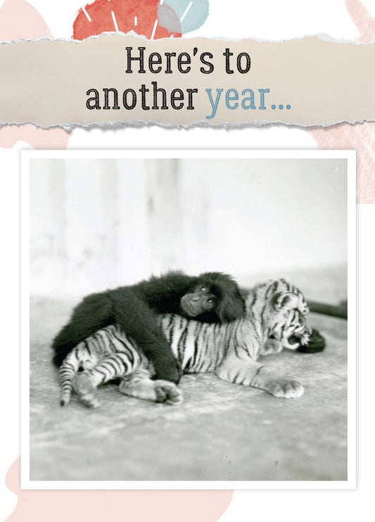 7865-TROU0081 | AN/Another Year