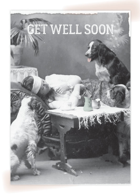 7865-TROU0085 | GW/What Happened To Toto