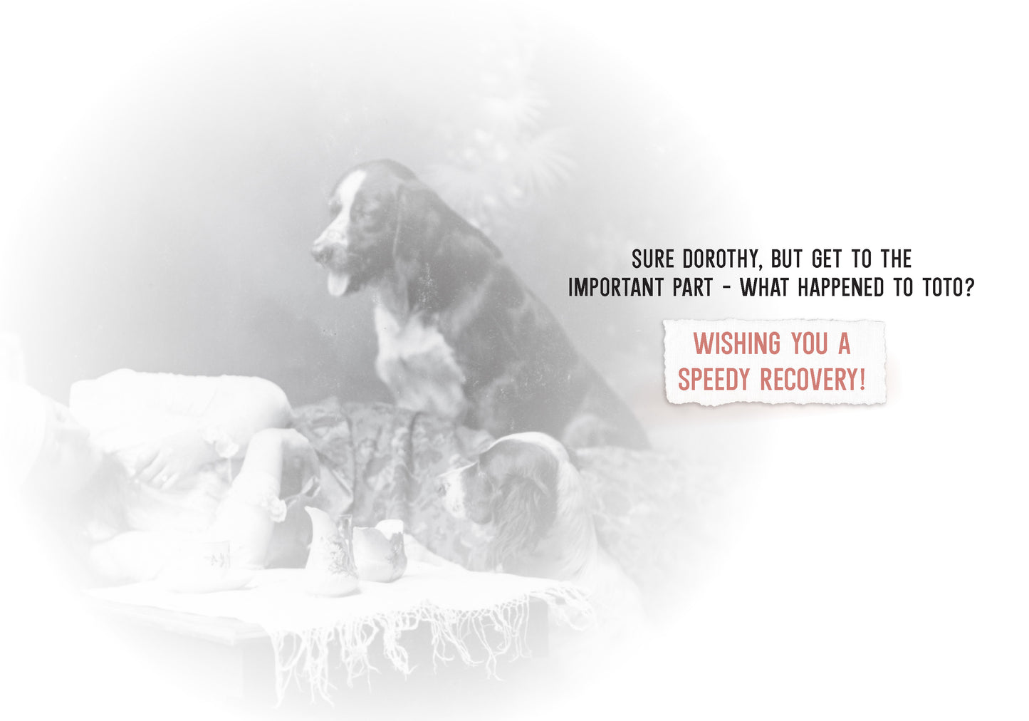 7865-TROU0085 | GW/What Happened To Toto