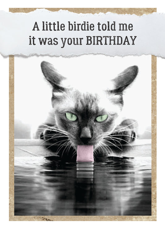 7865-TROU0148 | BD/A Little Birdie