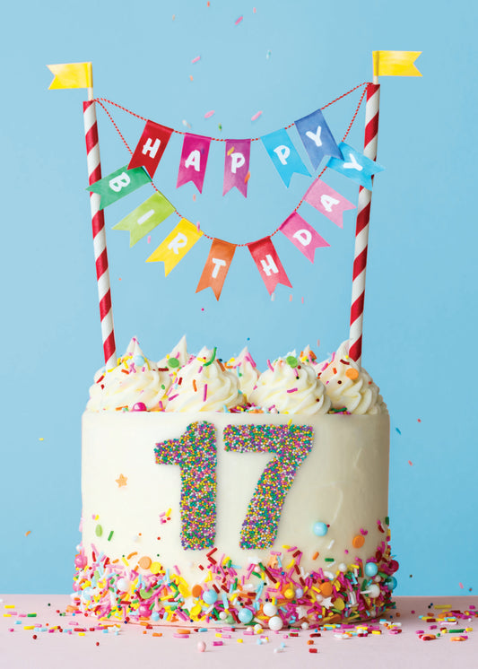 363-MLST0017B | ABD17/Cake With Seventeen