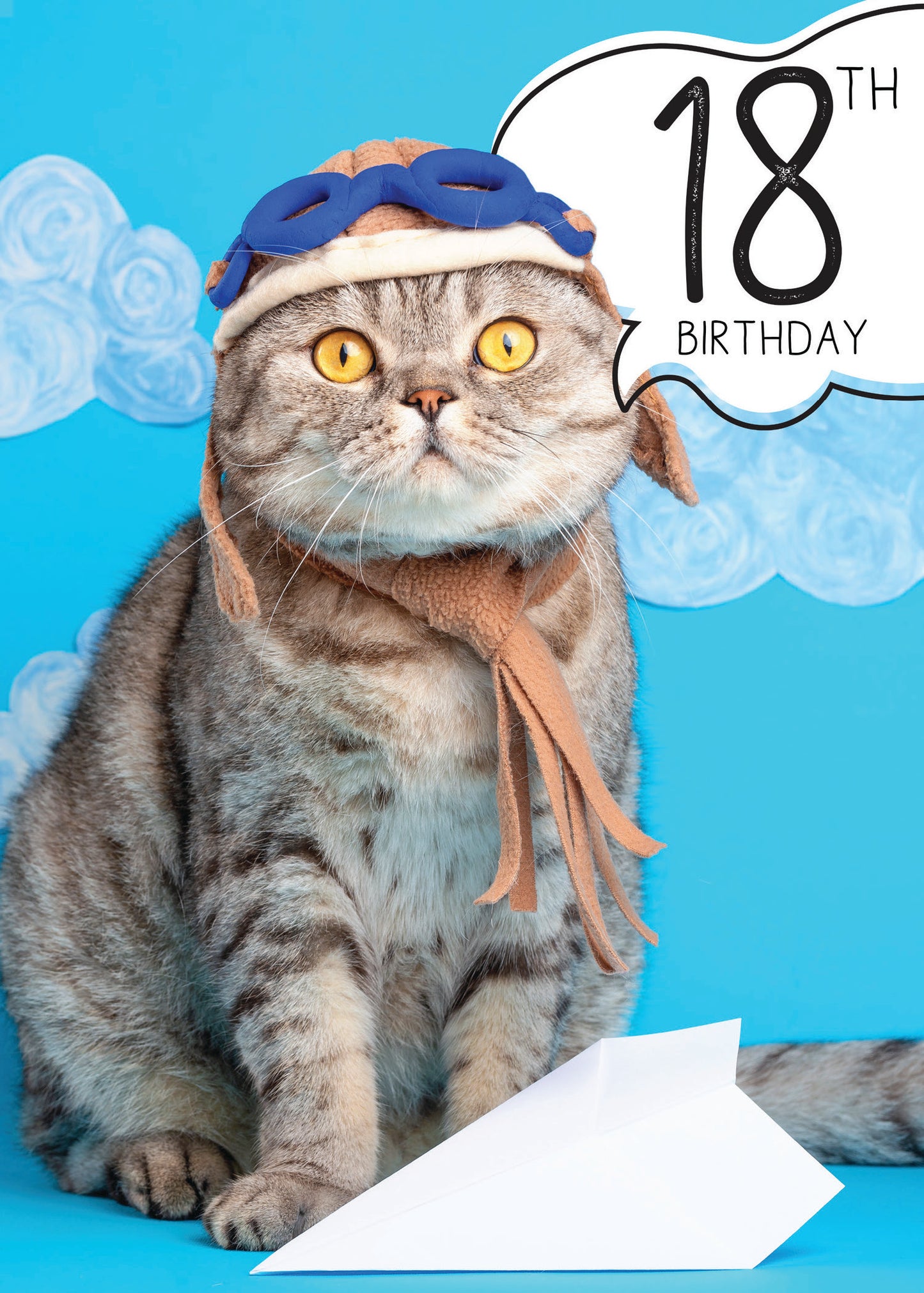 363-MLST0018B | ABD18/Airplane Cat With 18