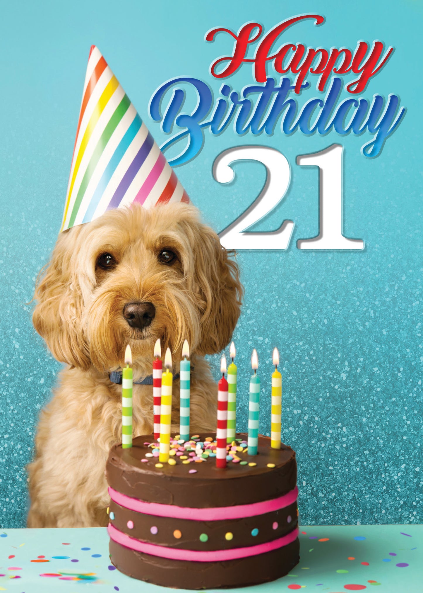 363-MLST0021C | ABD21/21st Dog and Cake