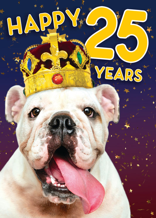 363-MLST0025C | ABD25/Dog With Crown 25th