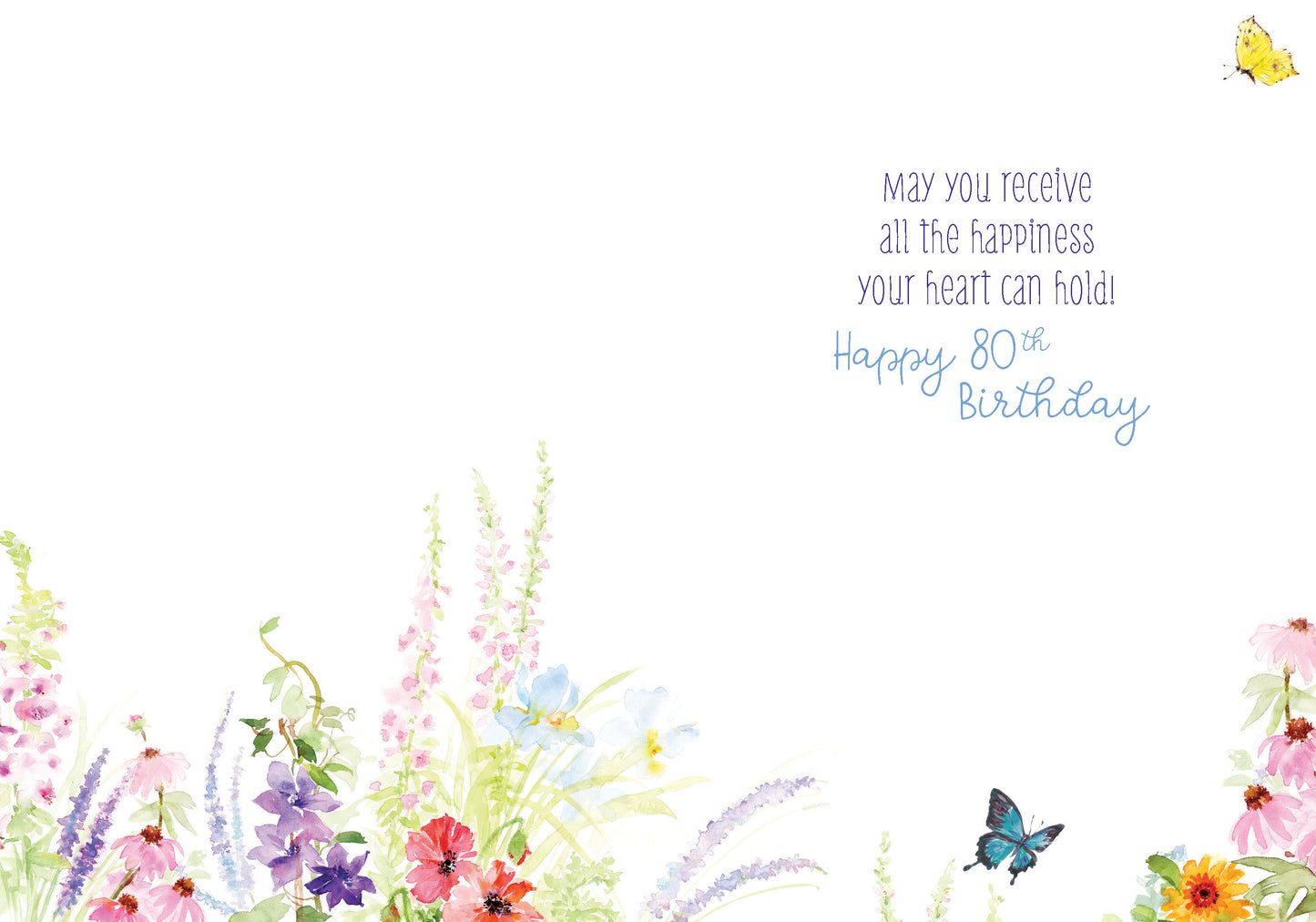 363-MLST0080C | ABD80/Butterfly 80th