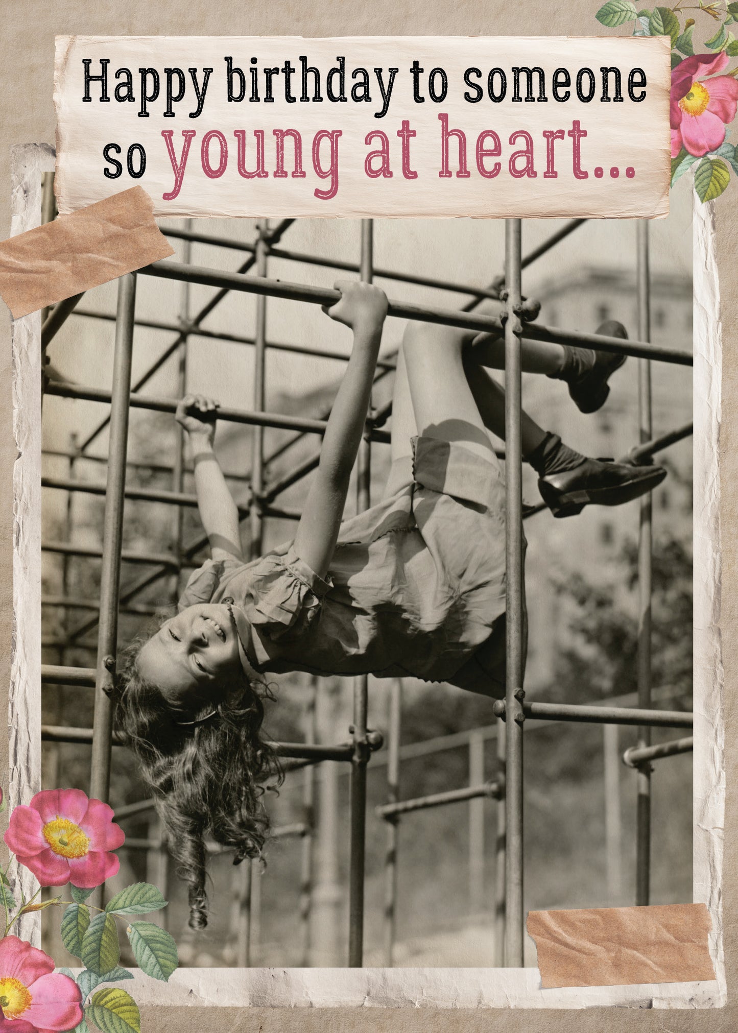 7865-TROU0204 | BD/Young At Heart
