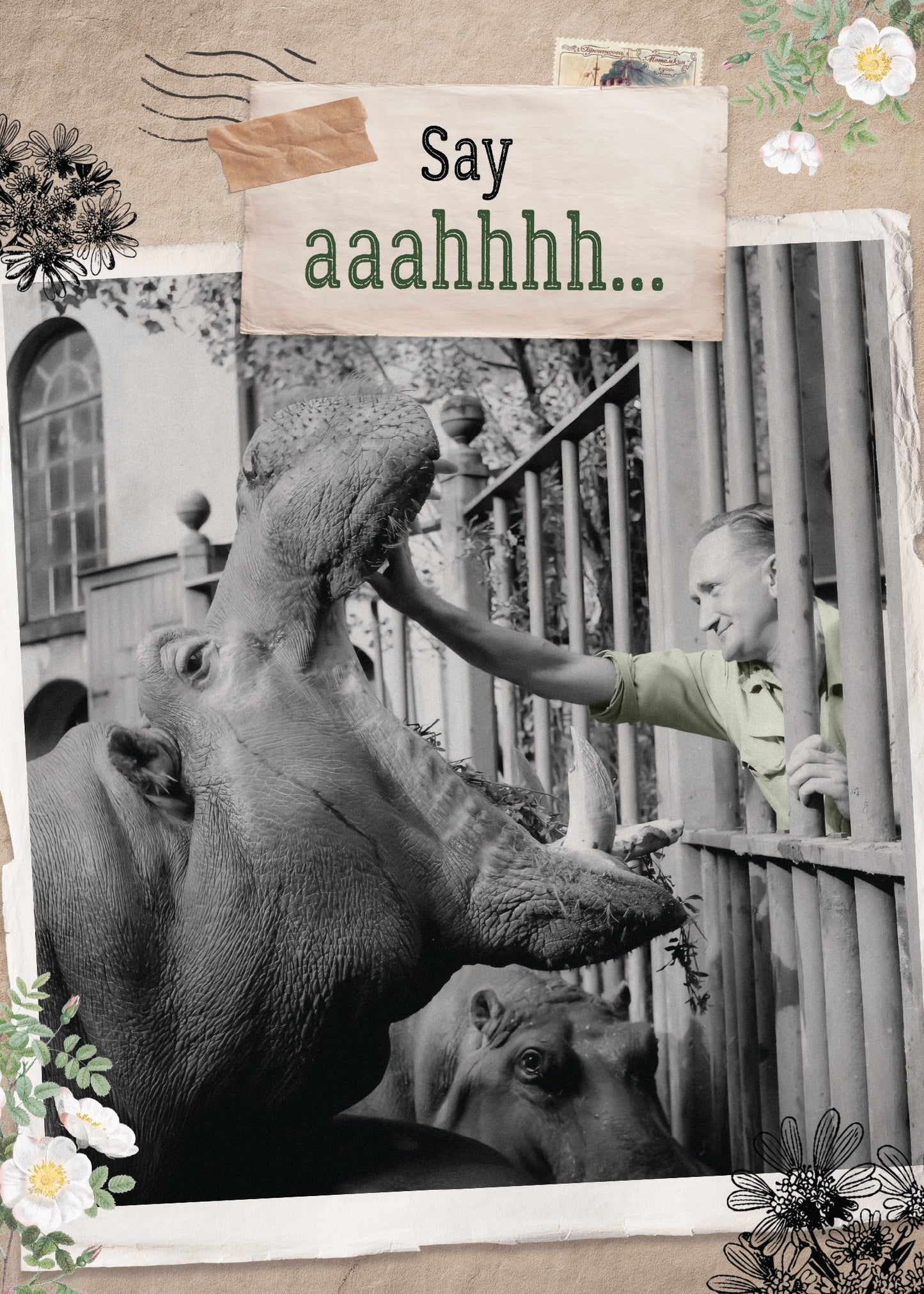 7865-TROU0211 | GW/Hippo