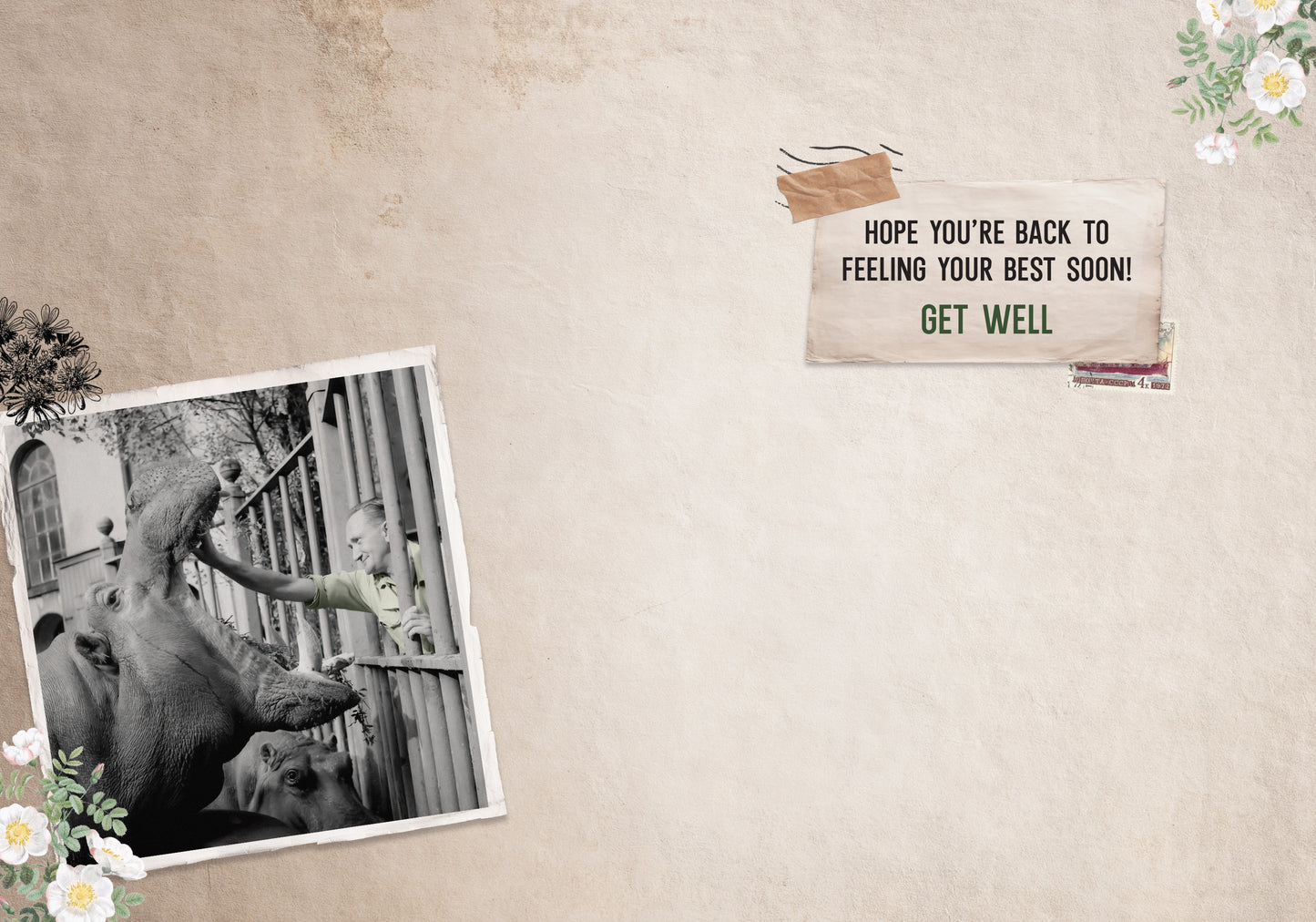 7865-TROU0211 | GW/Hippo