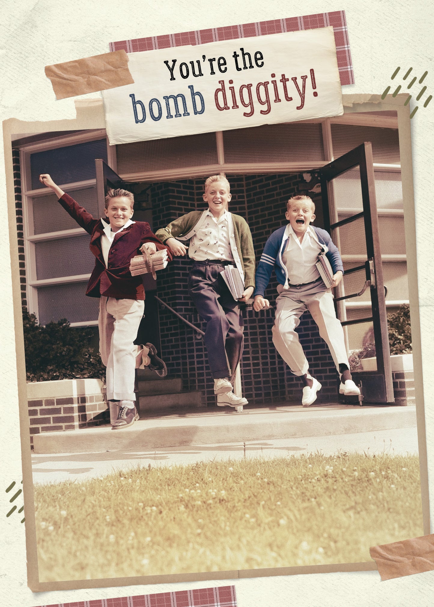 7865-TROU0243 | TY/Bomb Diggity