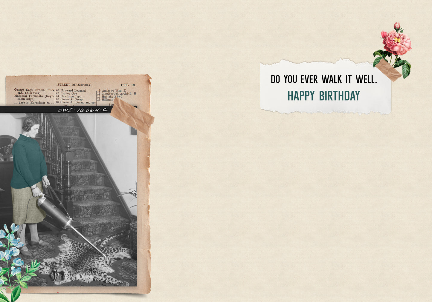 7865-TROU0252 | BD/Cougar and Cat Lady