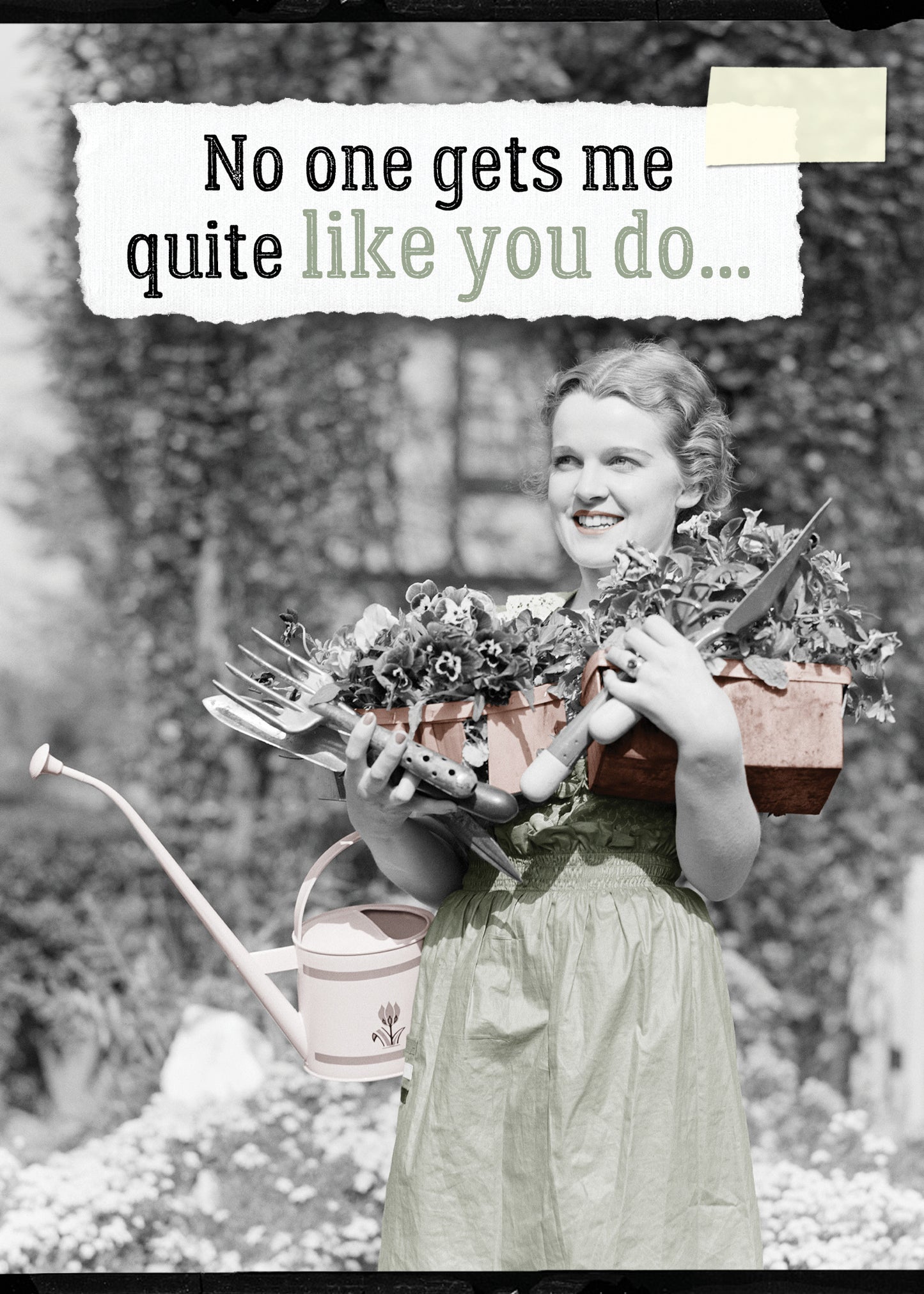 7865-TROU0262 | FR/Something Wrong With You