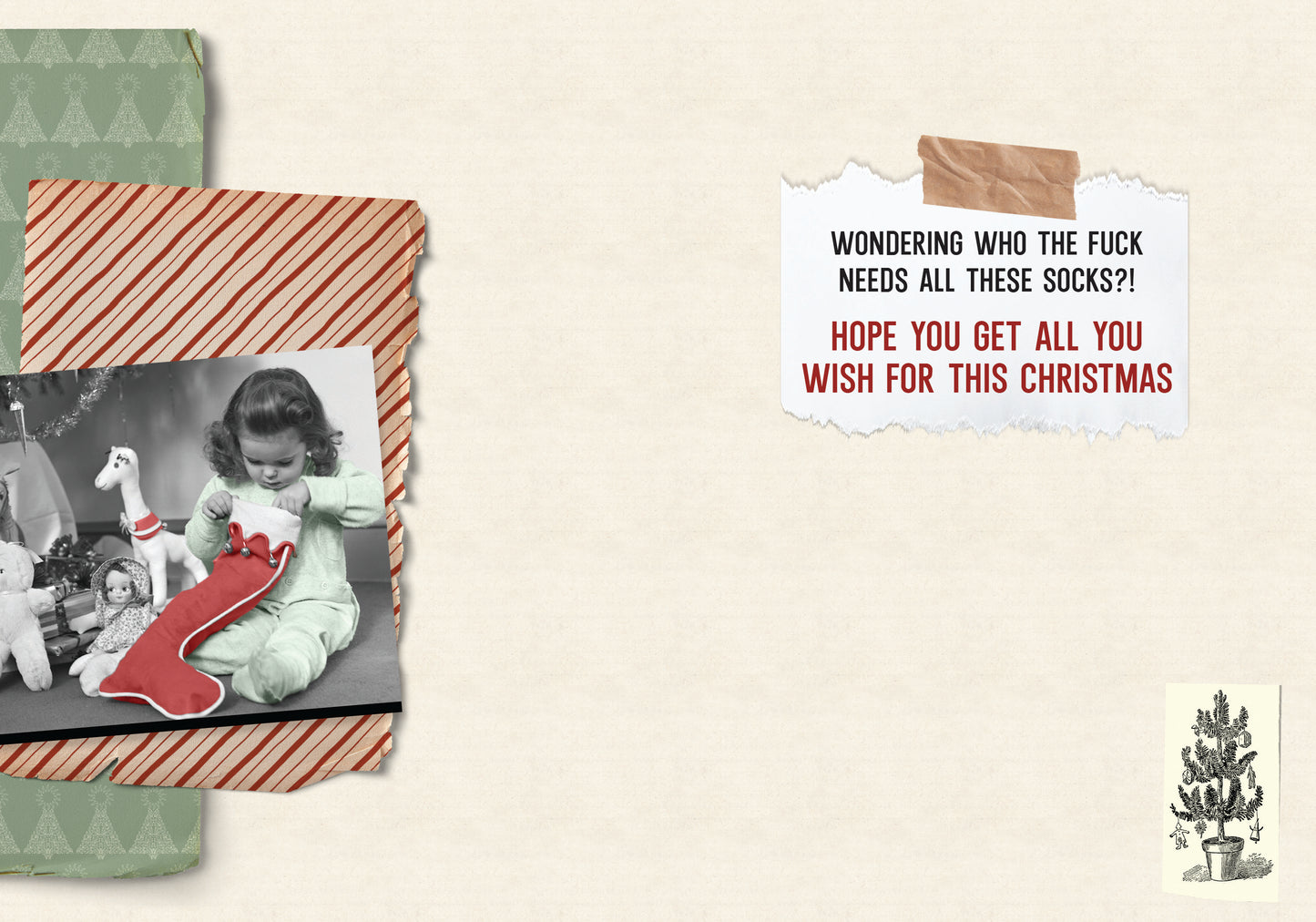 87865-TROU0265 | XM/Childlike Wonder