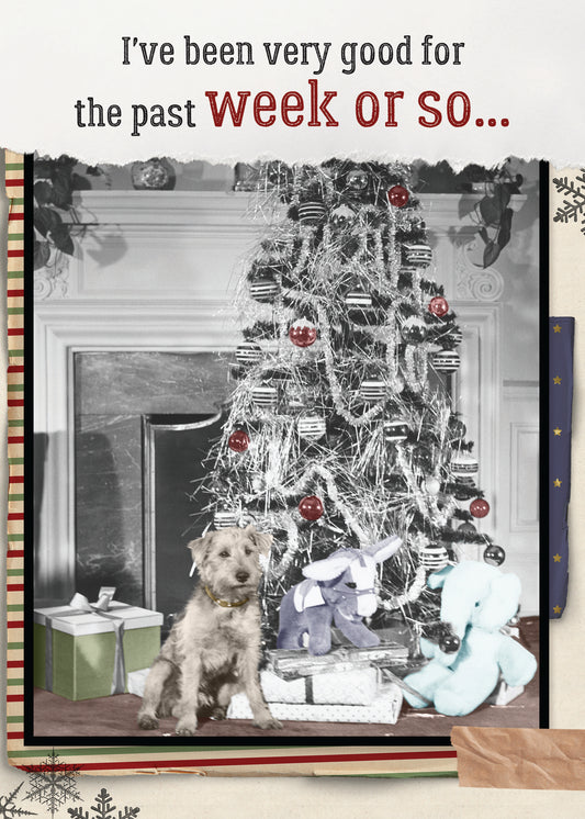 87865-TROU0268 | XM/Been Very Good