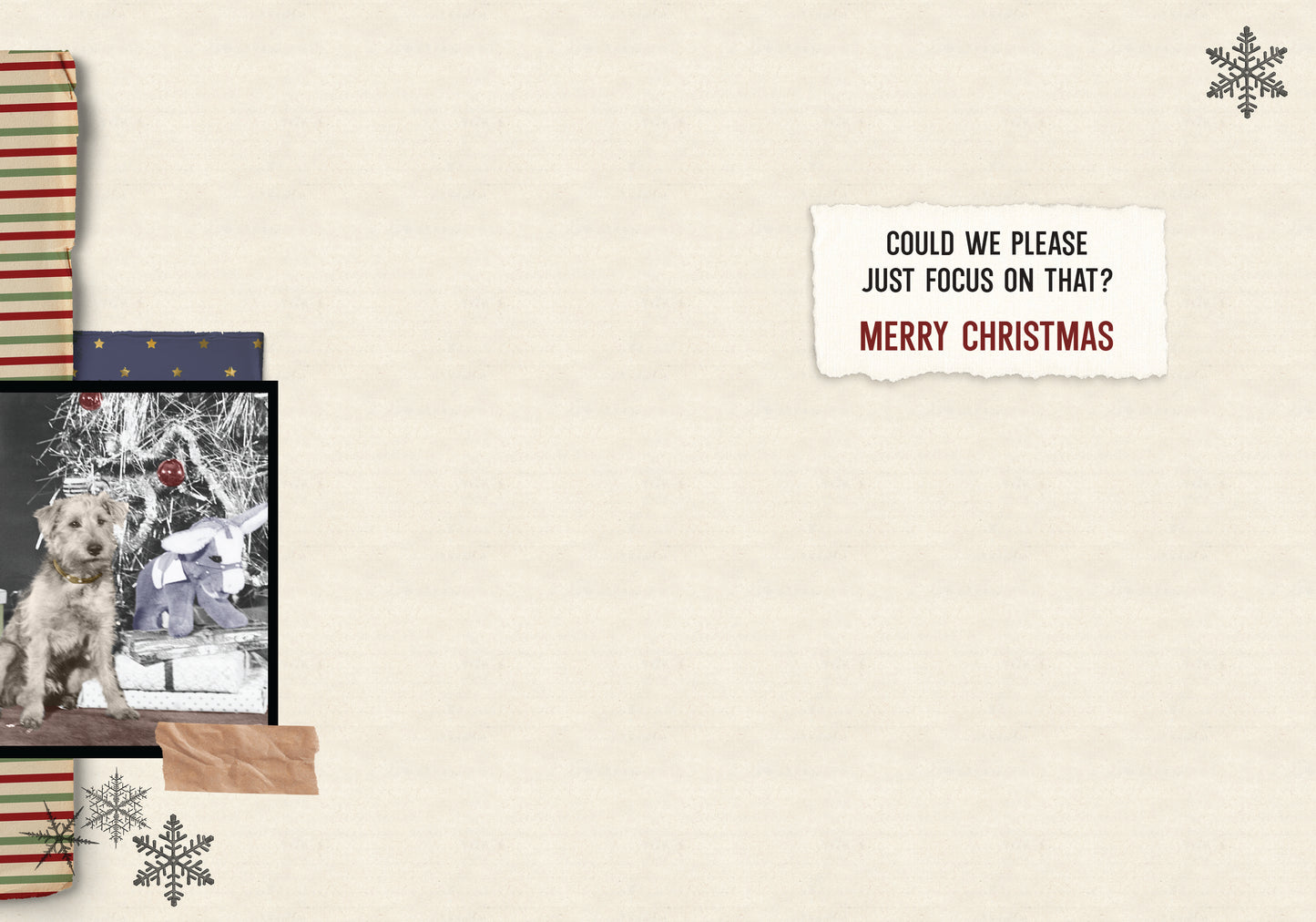 87865-TROU0268 | XM/Been Very Good