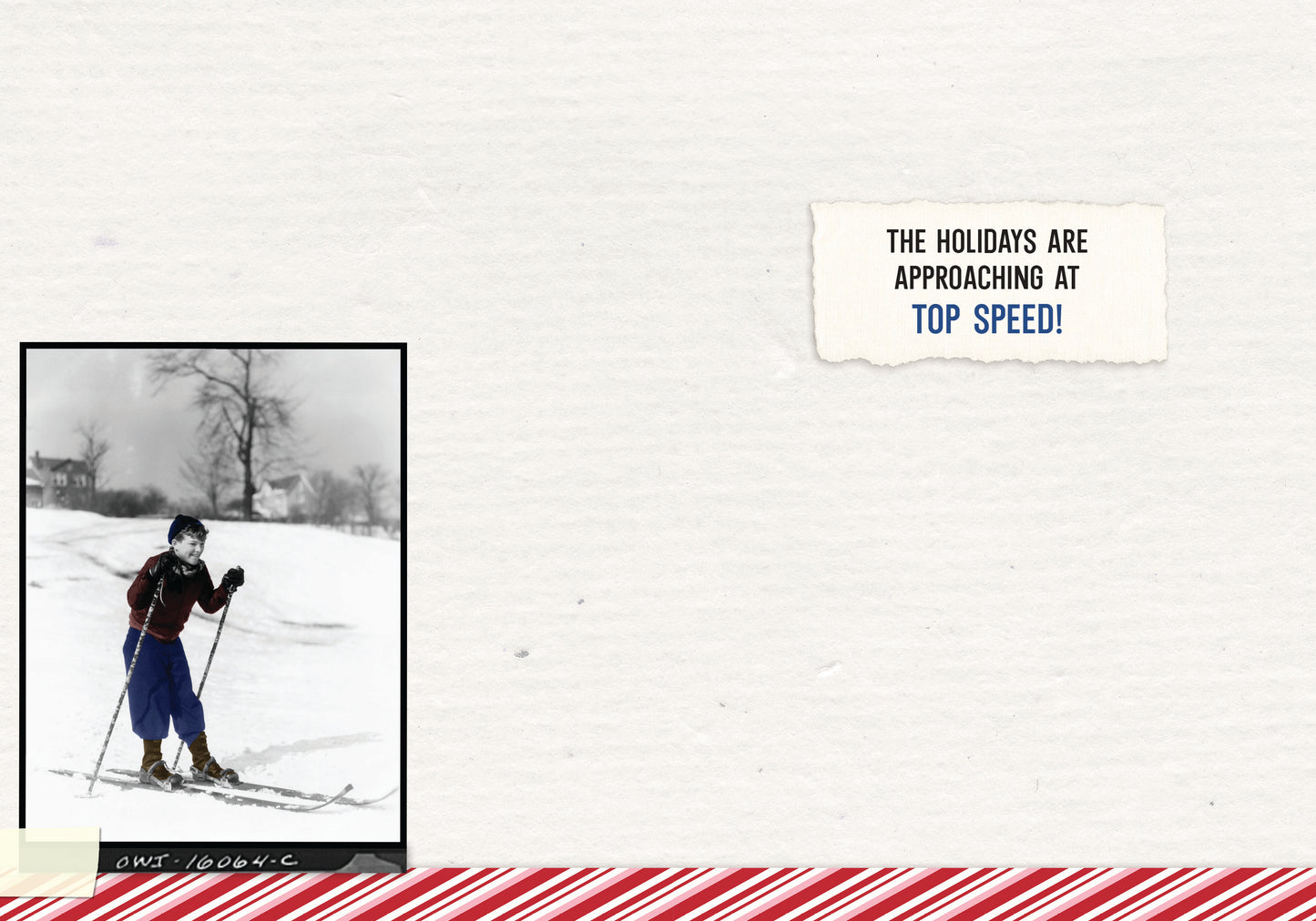 87865-TROU0276 | HOL/Festive and Fearless