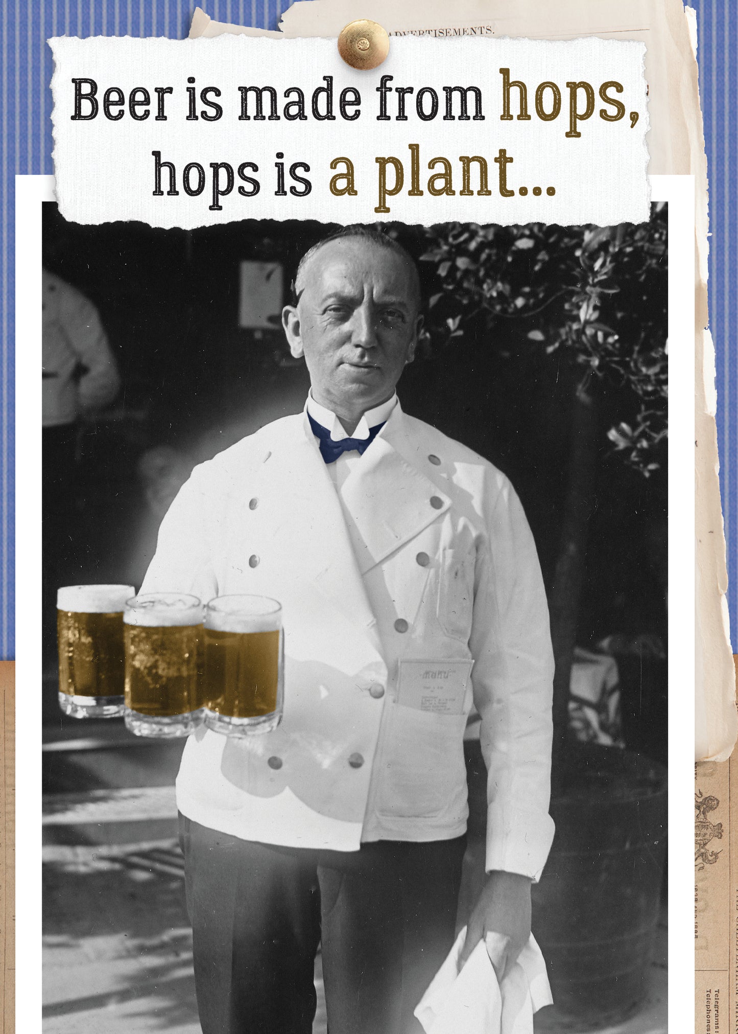 7865-TROU0279 | BD/Beer is Salad