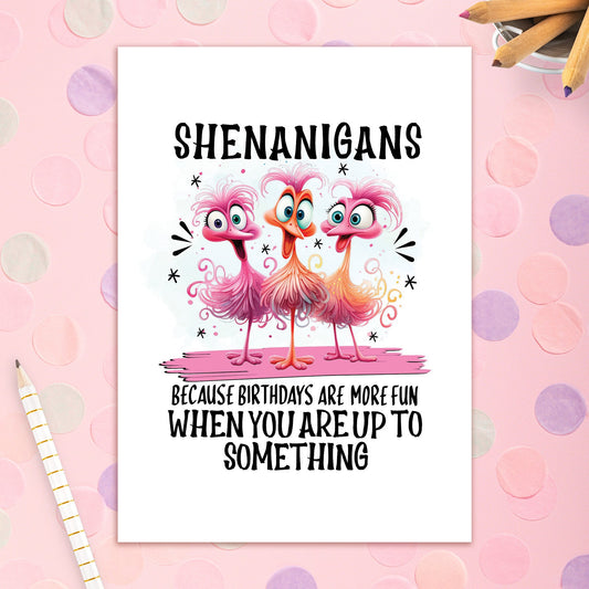 3492-BD082 | BD/Shenanigans Because