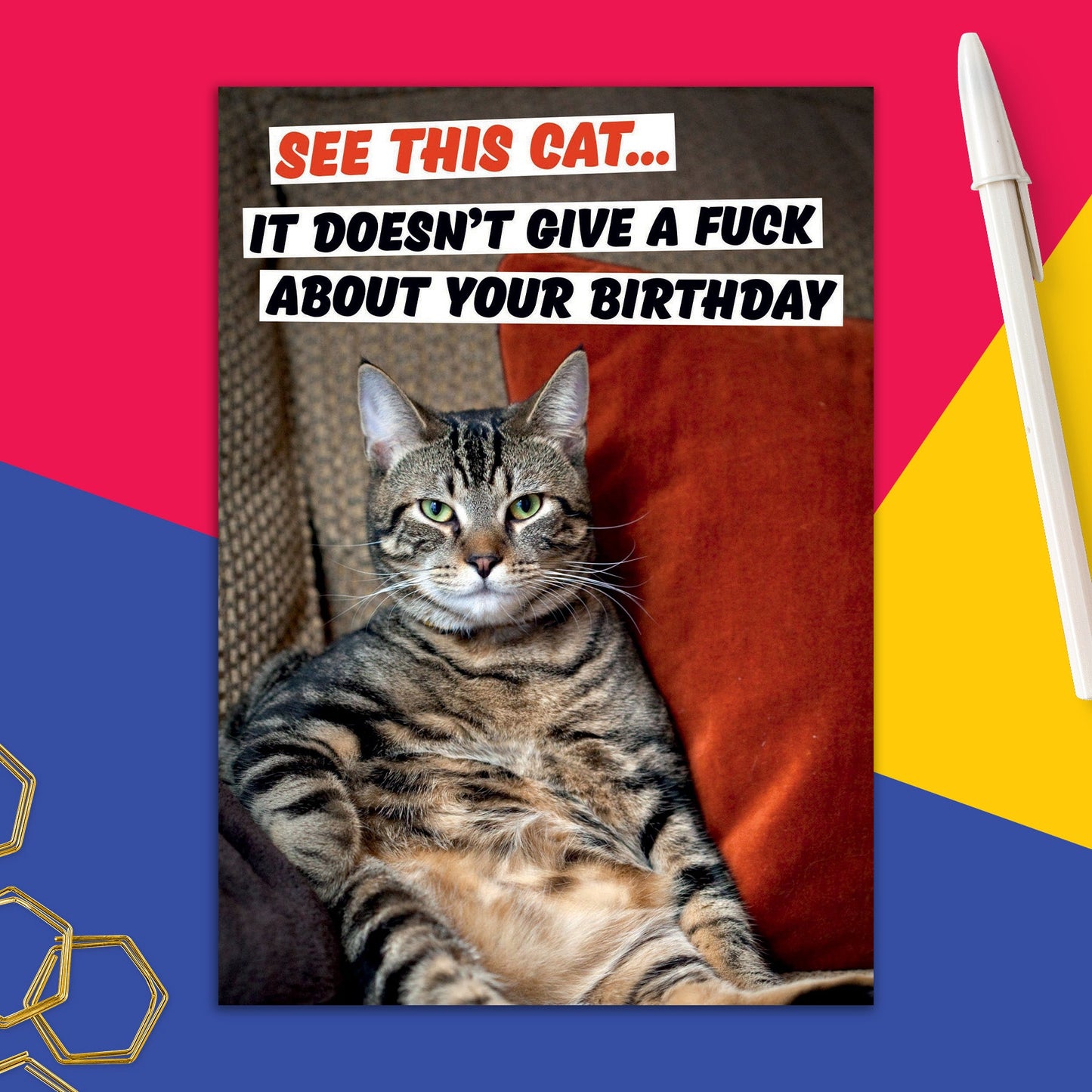 6723-DMA 216 | BD/See This Cat