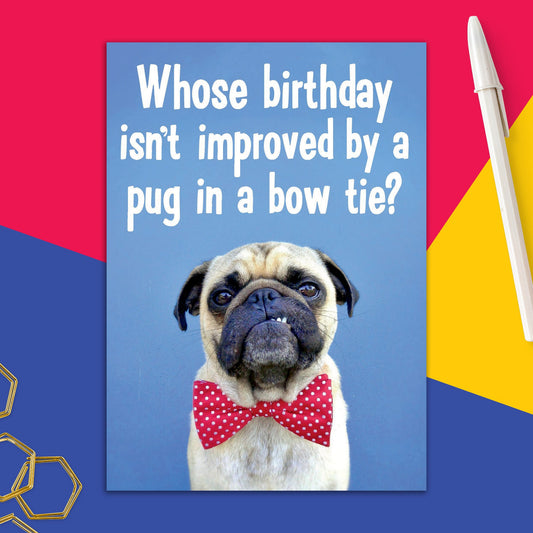 6723-DMA 229 | BD/Pug In A Bow Tie