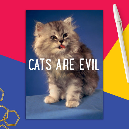 6723-DMA 237 | ED/Cats Are Evil