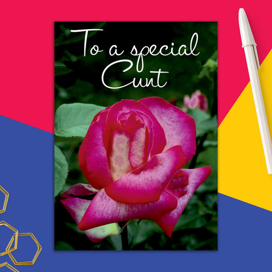 6723-DMA 283 | BD/To A Special C@#t