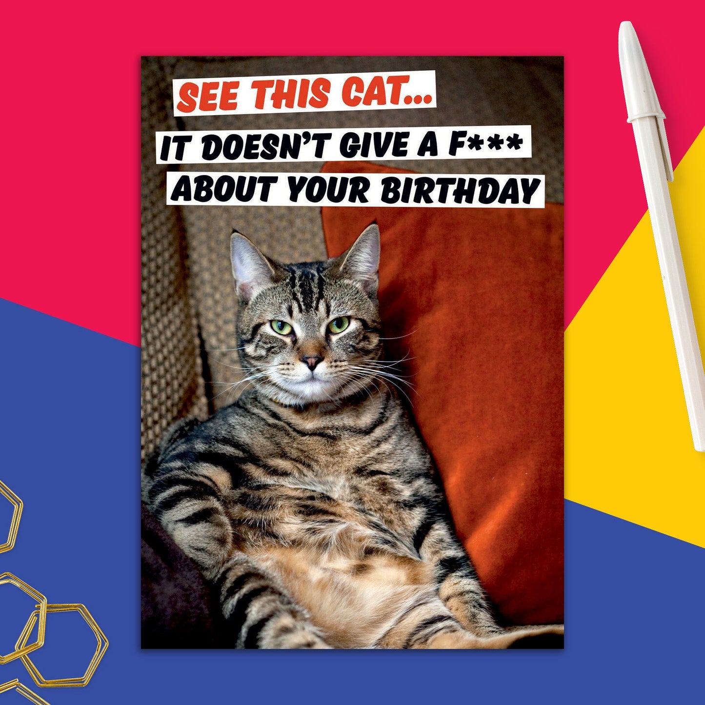 6723-DMA 296 | BD/See This Cat Clean