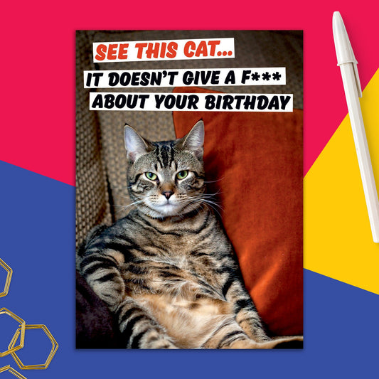 6723-DMA 296 | BD/See This Cat Clean