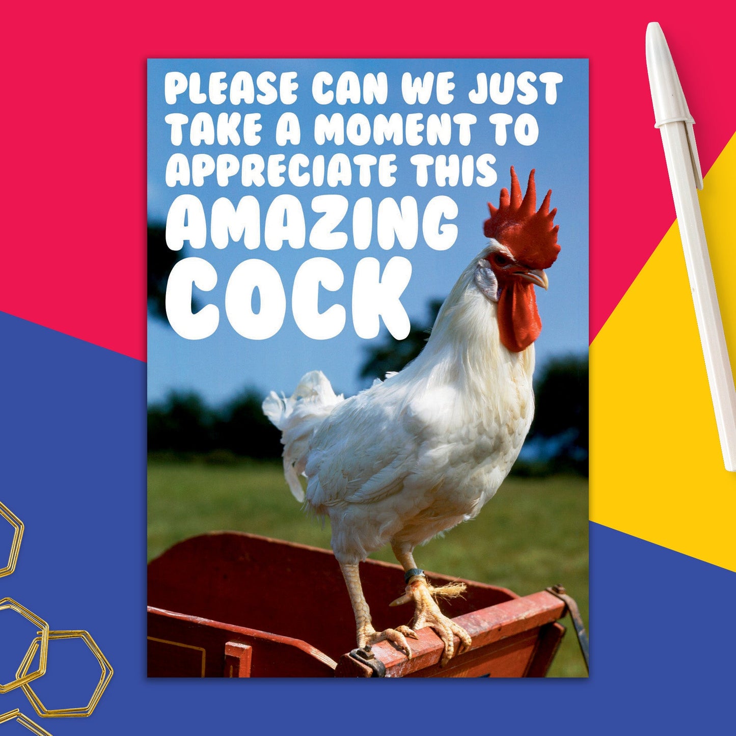 6723-DMA 360 | ED/Amazing Cock