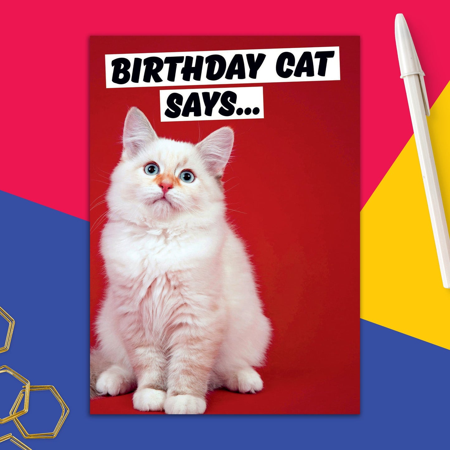 6723-DMA 362 | BD/Birthday Cat Says