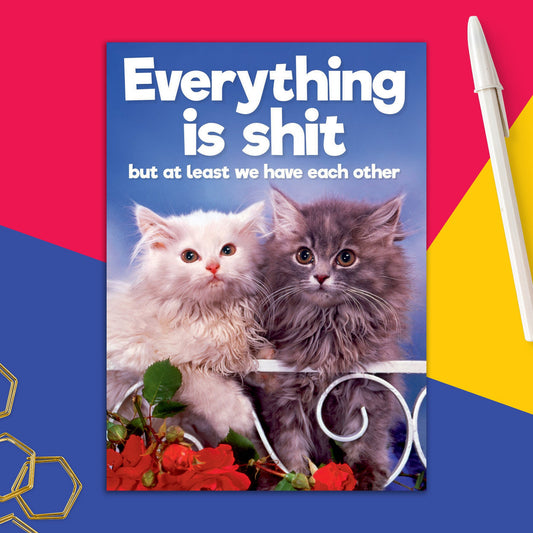 6723-DMA 395 | TY/Everything is Sh*t