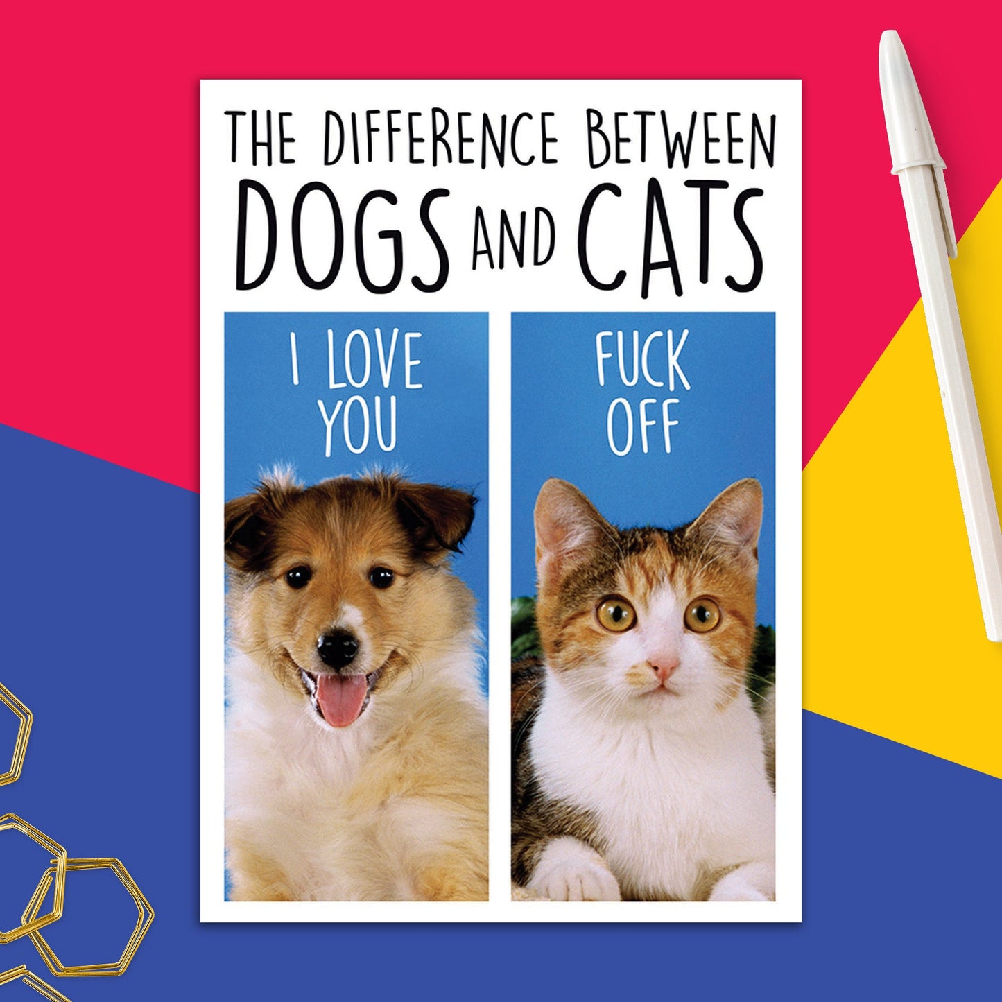 6723-DMA 433 | BD/Cats and Dogs