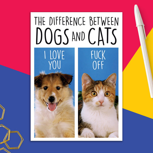 6723-DMA 433 | BD/Cats and Dogs