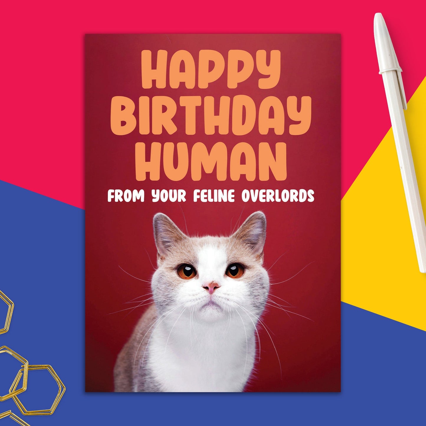 6723-DMA 516 | BD/Feline Overlord