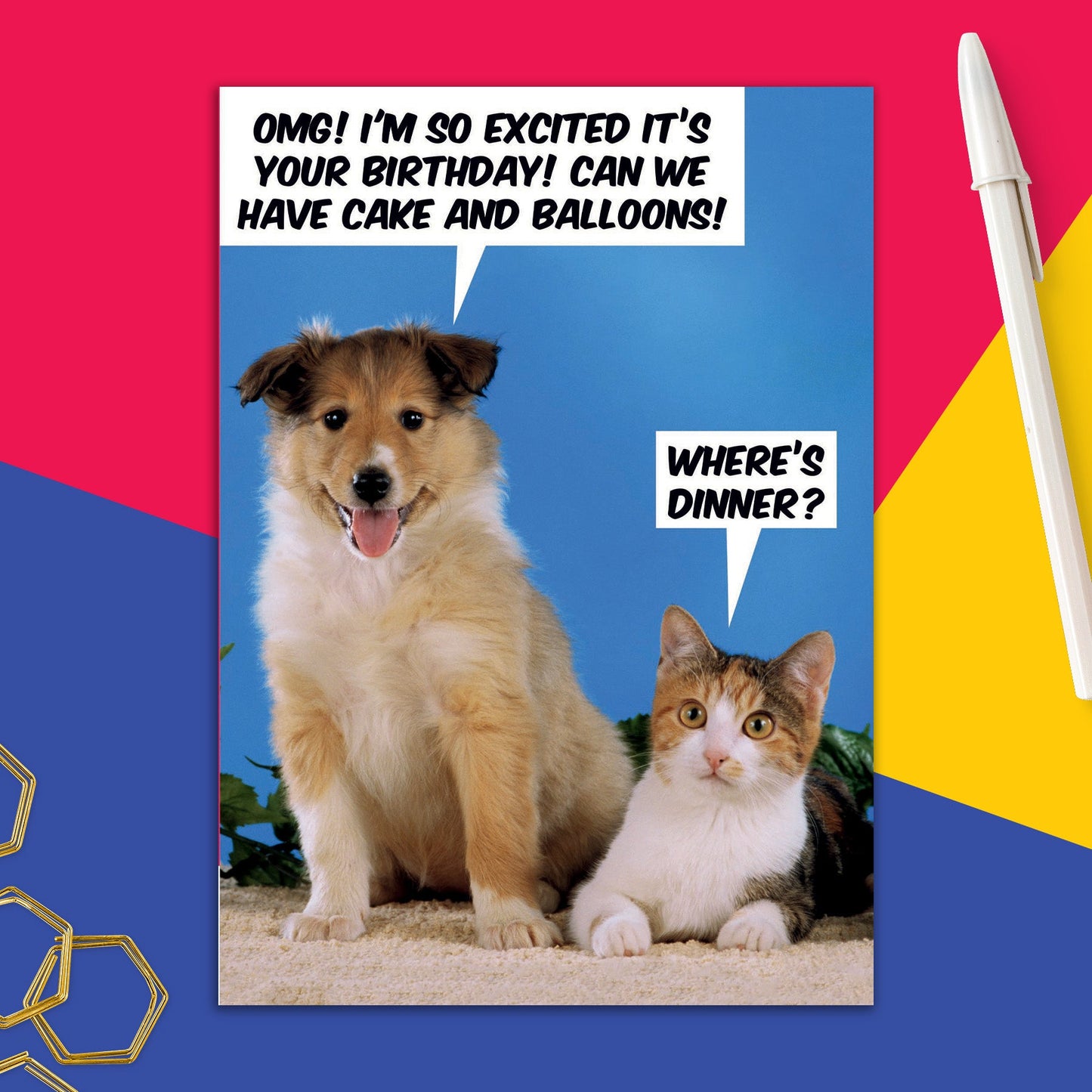 6723-DMU 103 | BD/Where's Dinner?