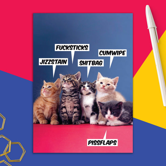 6723-DMU 241 | FR/Swearing Kittens