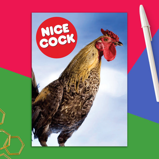 76723-DMV 28 | VAL/Nice Cock