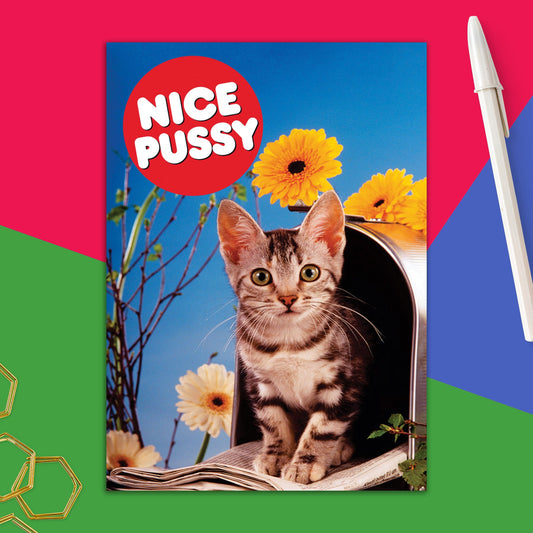 76723-DMV 30 | VAL/Nice pussy