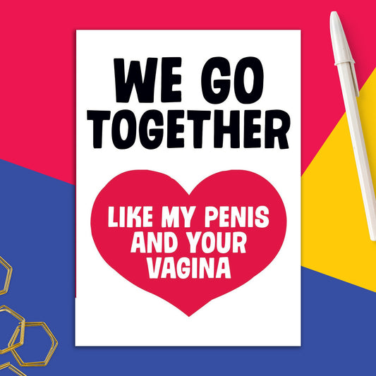 6723-DMV 87 | RO/My Penis And Your Vagina