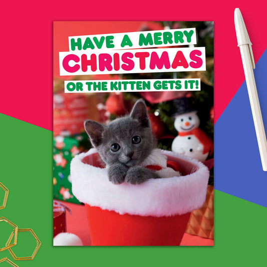 86723-DMX 188 | XM/Or The Kitten Gets It